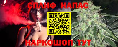 сатива Новодвинск
