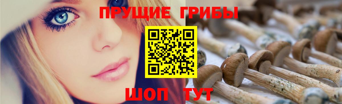 Тара  Псилоцибиновые грибы ЛСД  Вход с VPN  Псилоцибиновые грибы мицелий 