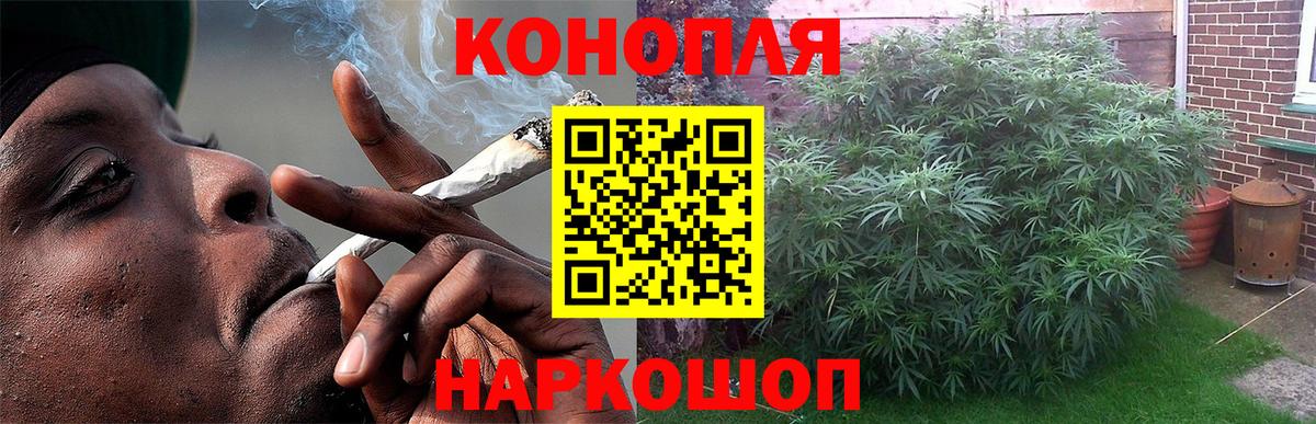 Бошки марихуана марихуана  Вход с VPN  Канабис индика  Тара 